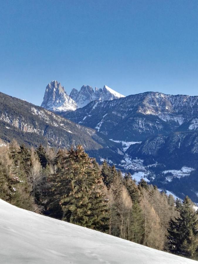 Alpine Chalet Aurora Dolomites 라이온 외부 사진