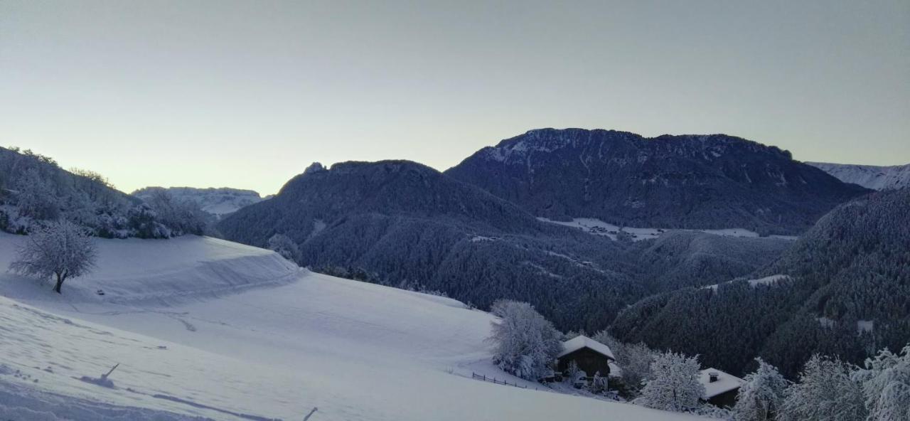 Alpine Chalet Aurora Dolomites 라이온 외부 사진